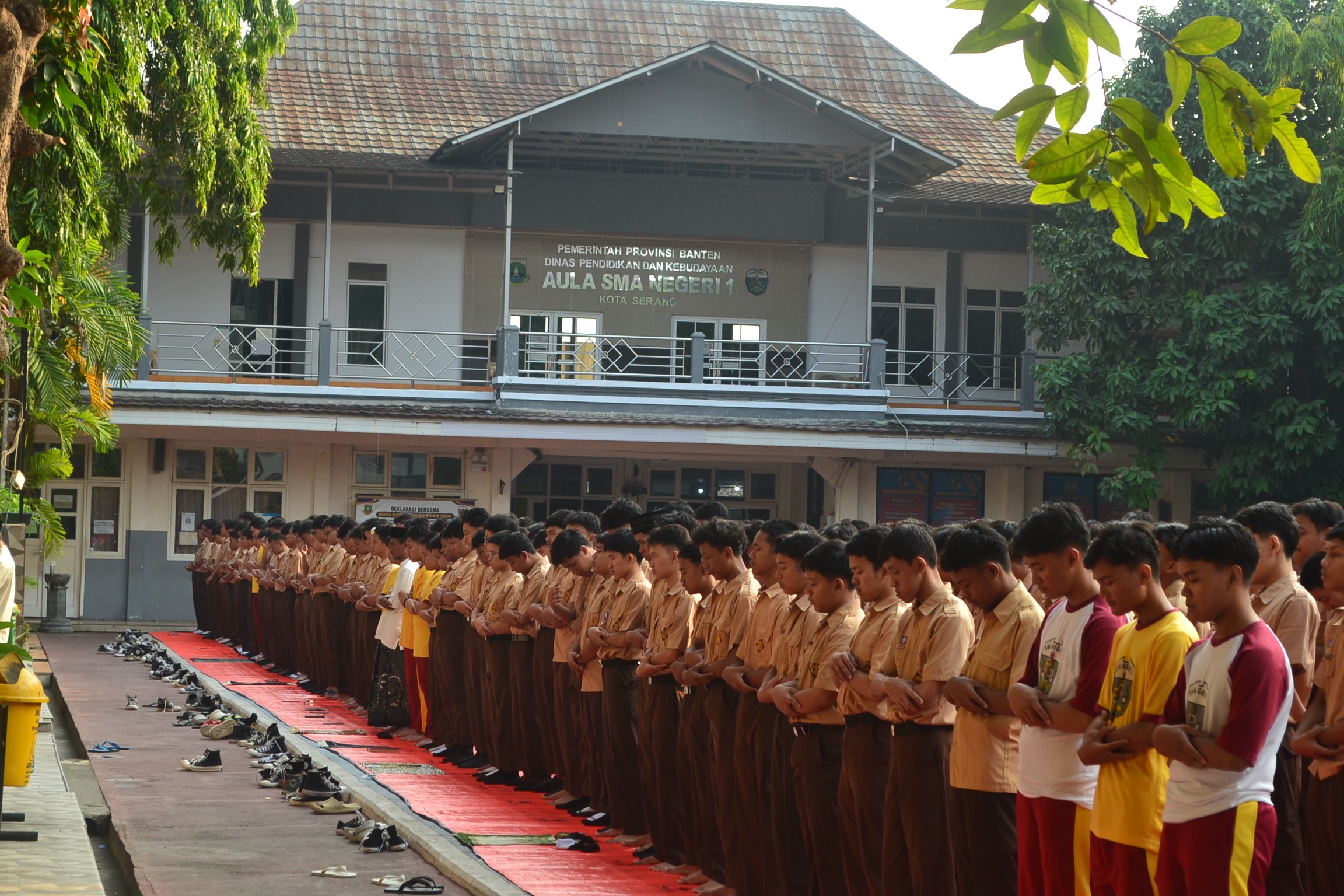 DSC_0003.JPG