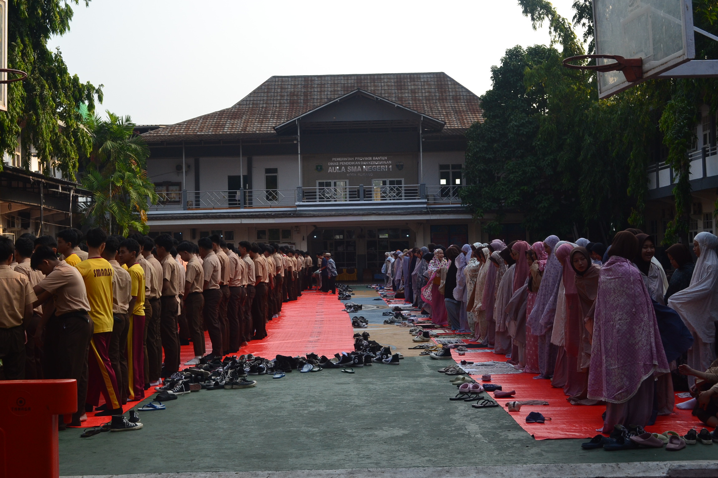 DSC_0001.JPG